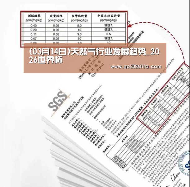 (03月14日)天然气行业发展趋势_2026世界杯(图4) 世界杯赛程