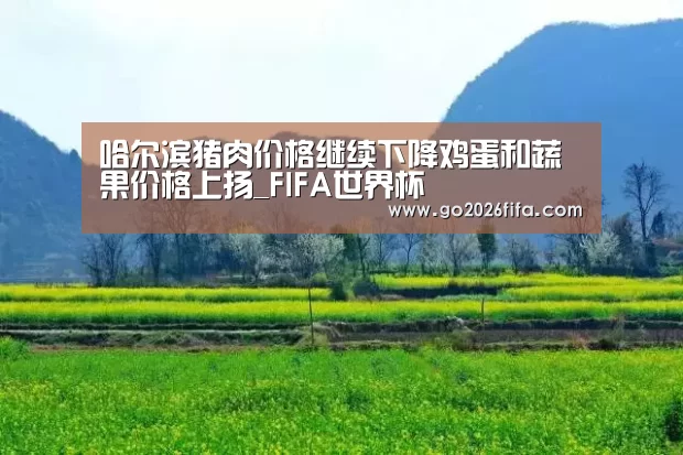 哈尔滨猪肉价格继续下降鸡蛋和蔬果价格上扬_FIFA世界杯(图1) 2026世界杯