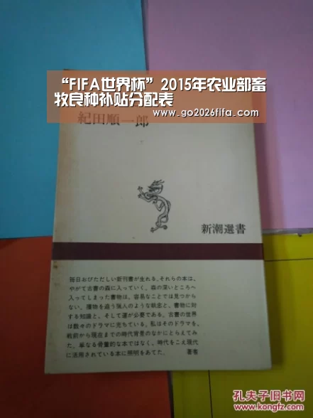 FIFA世界杯