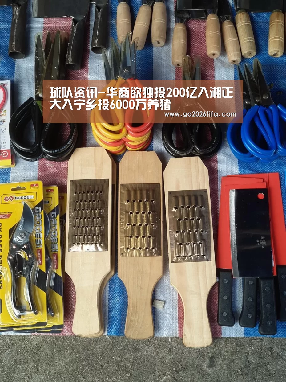 球队资讯
