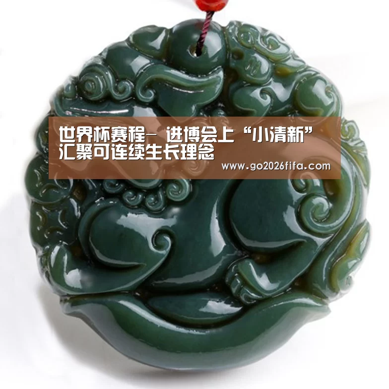 世界杯赛程-
进博会上“小清新” 汇聚可连续生长理念(图4) 2026世界杯