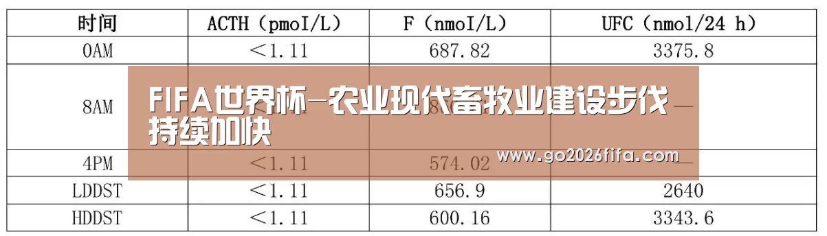 世界杯赛程