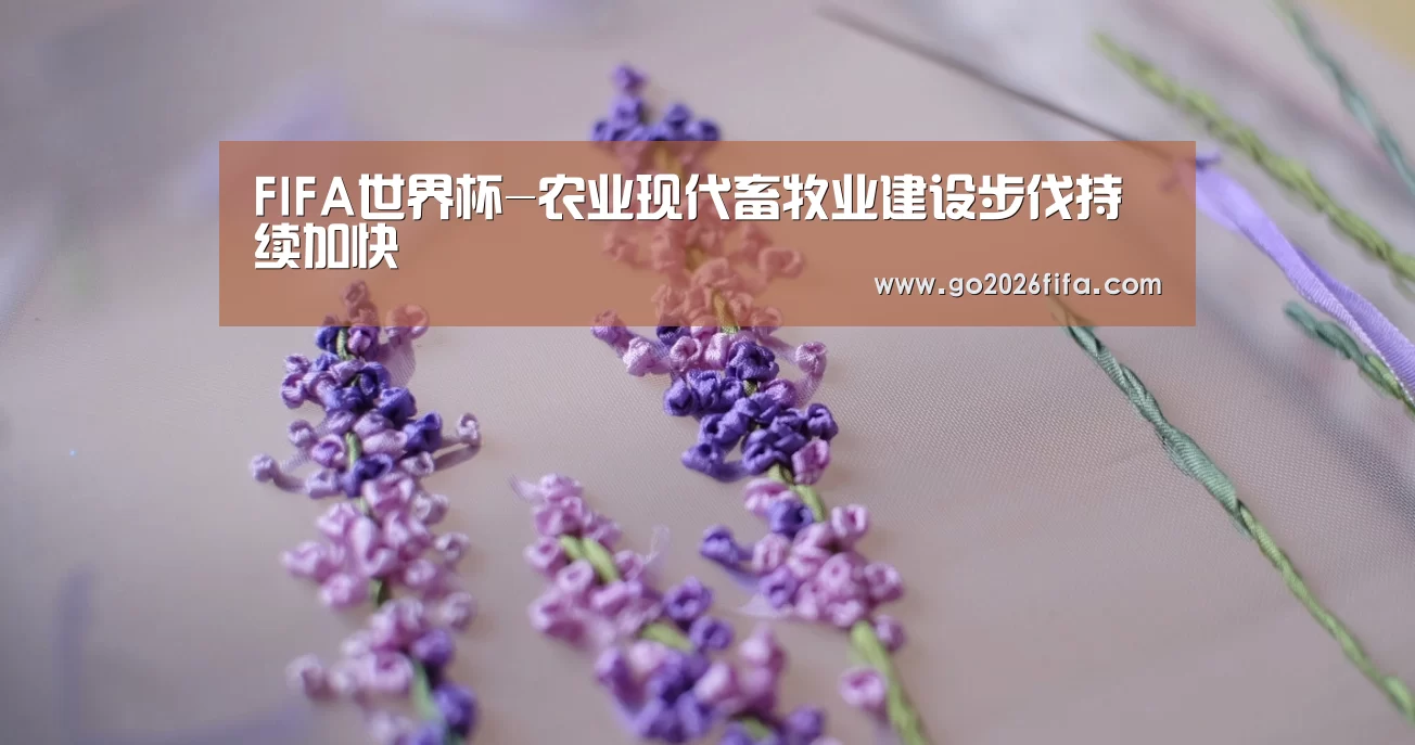世界杯赛程