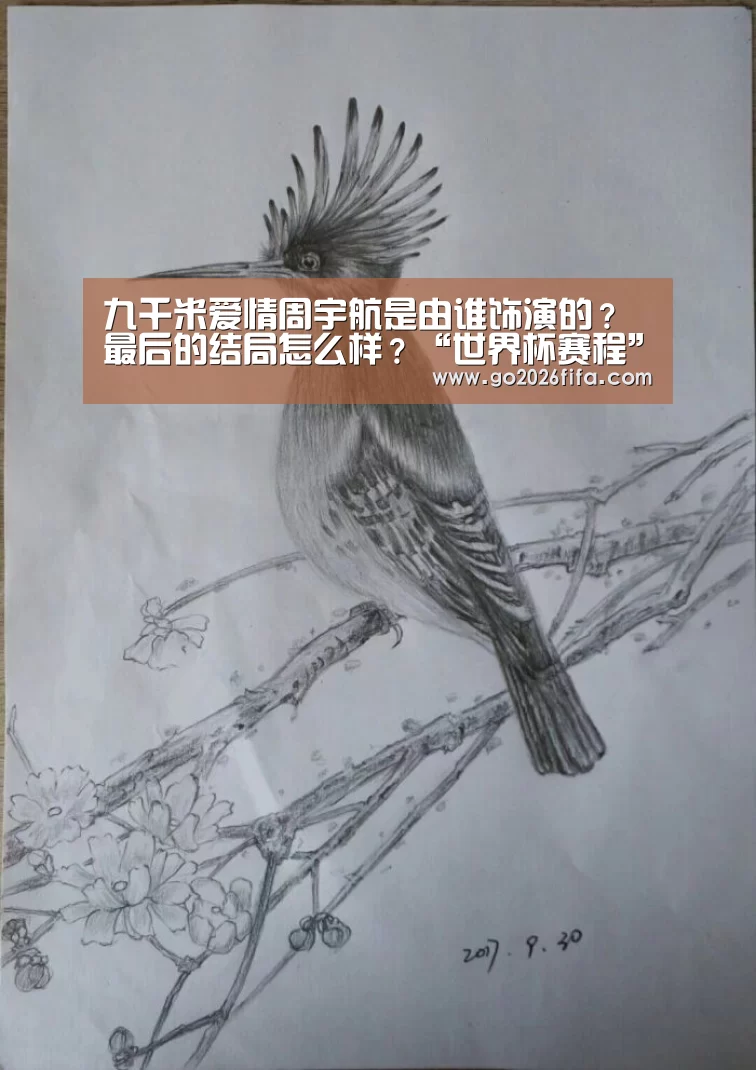 世界杯赛程