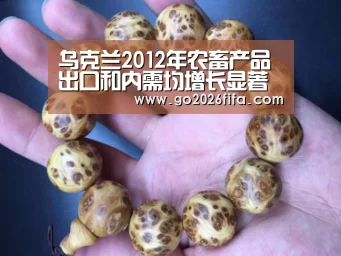 世界杯赛程