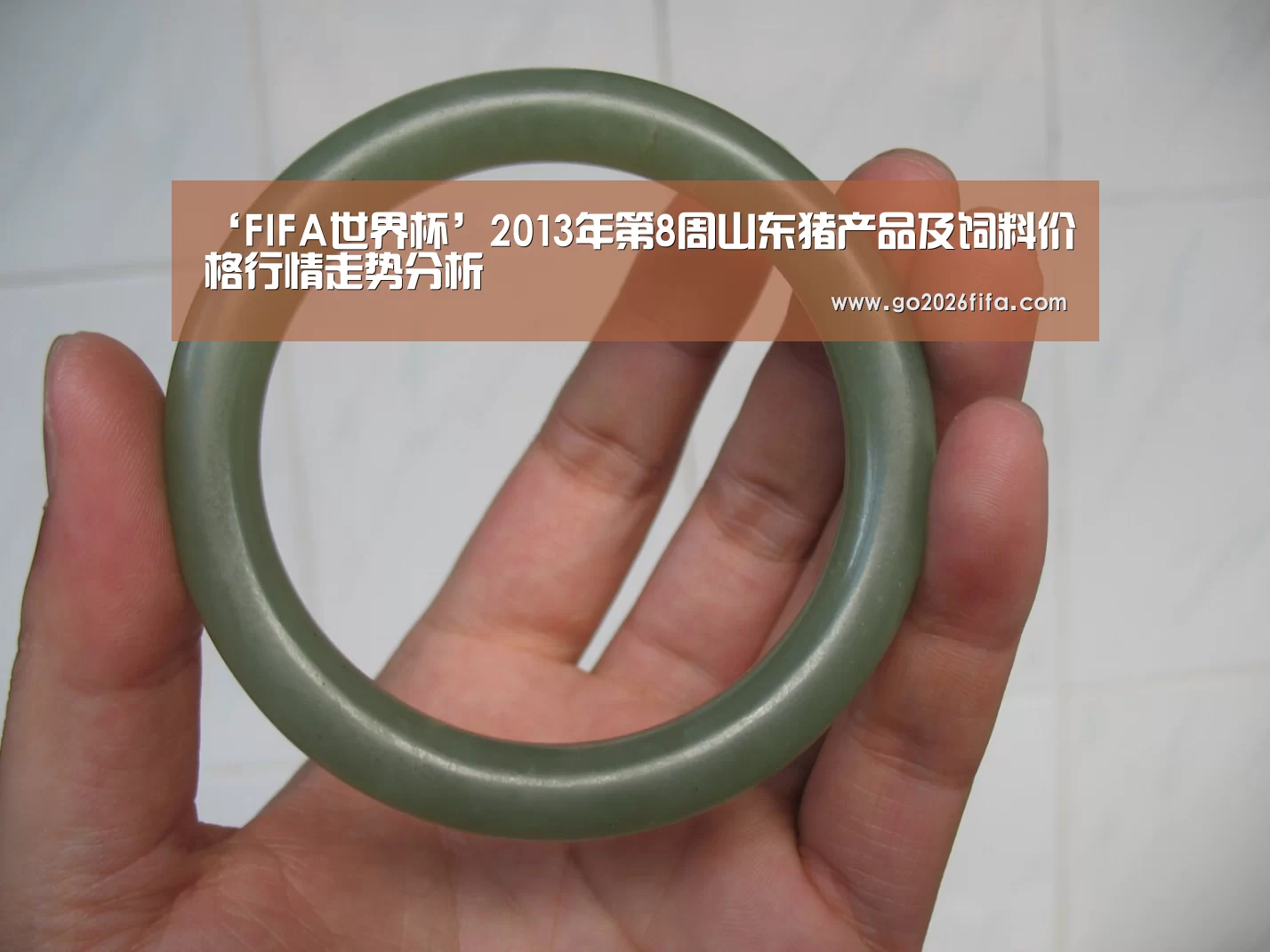 ‘FIFA世界杯’2013年第8周山东猪产品及饲料价格行情走势分析(图1) 球队资讯