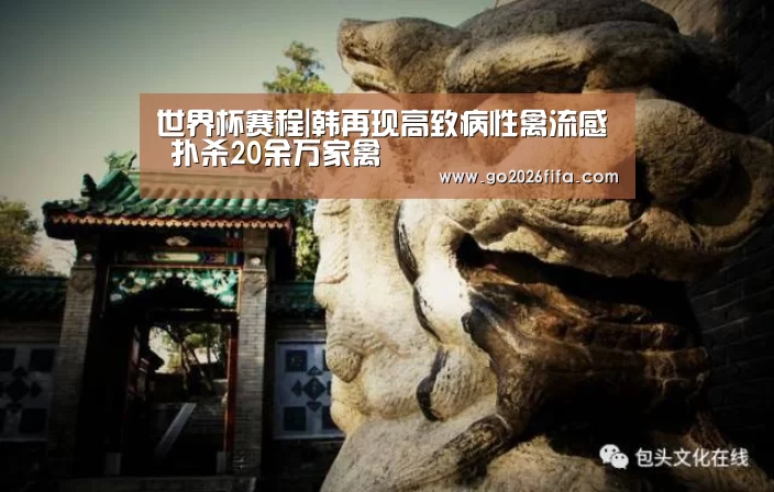 世界杯赛程|韩再现高致病性禽流感 扑杀20余万家禽(图2) 世界杯赛程