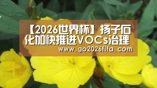 2026世界杯